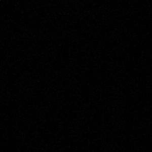 Meet your Posher, Dillon